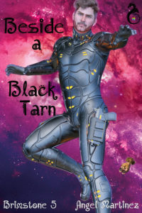 Book Cover: Beside a Black Tarn