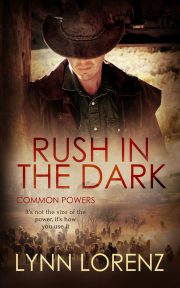 Book Cover: Rush in the Dark