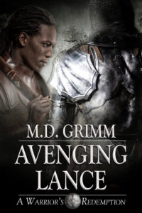 Book Cover: Avenging Lance